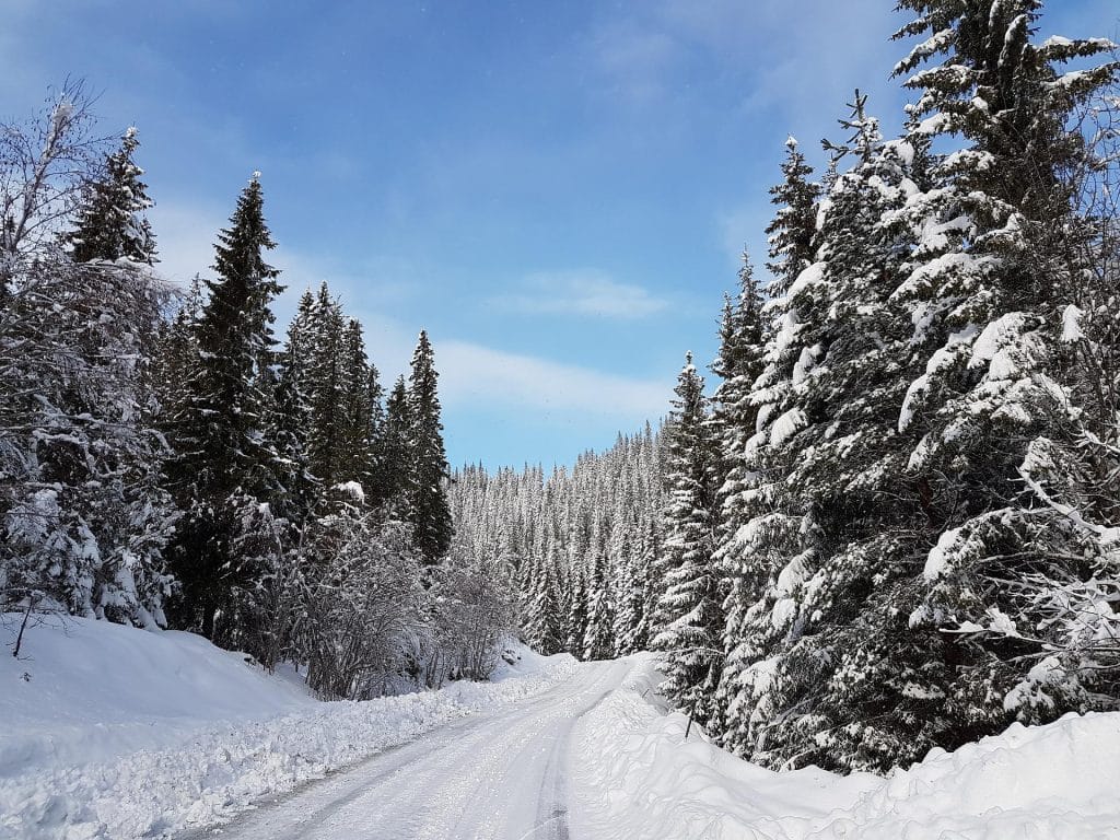 inverno norvegese