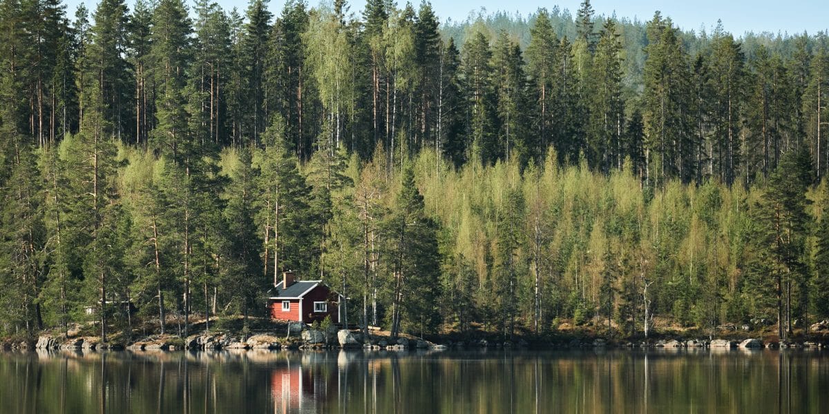 lingue nordiche ed ambiente
