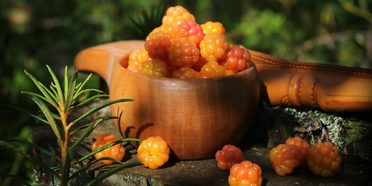 Cloudberry