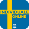 Corso di svedese online individuale | Lezioni di svedese online | Istituto Culturale Nordico